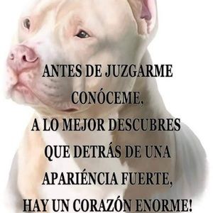 Meet your Posher, Ivan